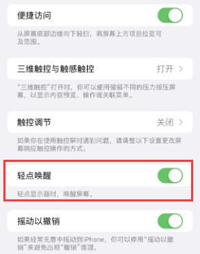 驿城苹果授权维修站分享iPhone轻点无法唤醒怎么办 