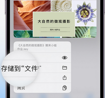 驿城apple维修中心分享iPhone文件应用中存储和找到下载文件