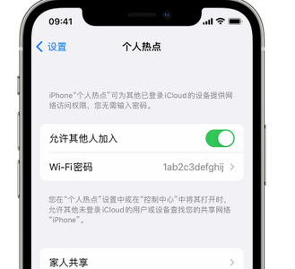 驿城apple服务站点分享iPhone上个人热点丢失了怎么办