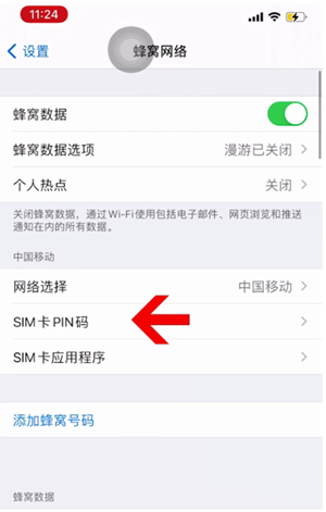 驿城苹果14维修网分享如何给iPhone14的SIM卡设置密码 