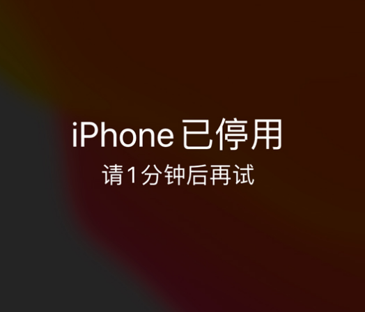 驿城苹果手机维修分享:iPhone 显示“不可用”或“已停用”怎么办？还能保留数据吗？ 