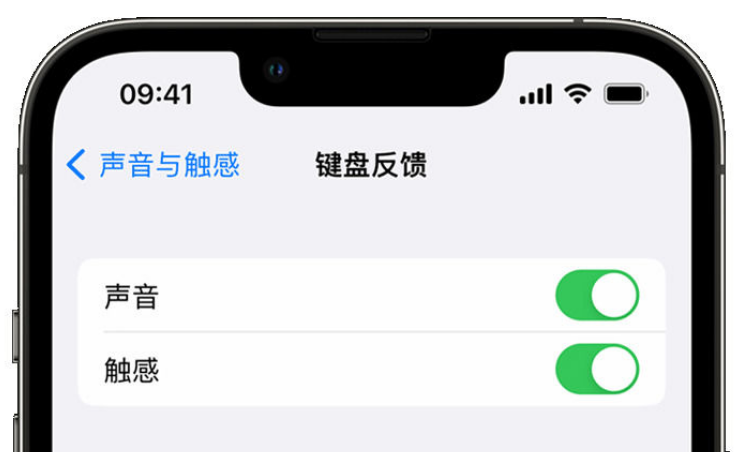 驿城苹果手机维修分享iPhone 14触感键盘使用方法 