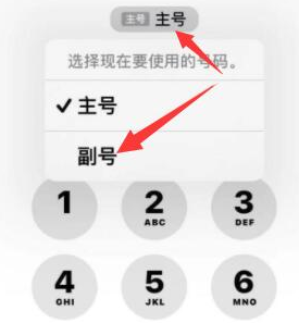 驿城苹果14维修店分享iPhone 14 Pro Max使用副卡打电话的方法 