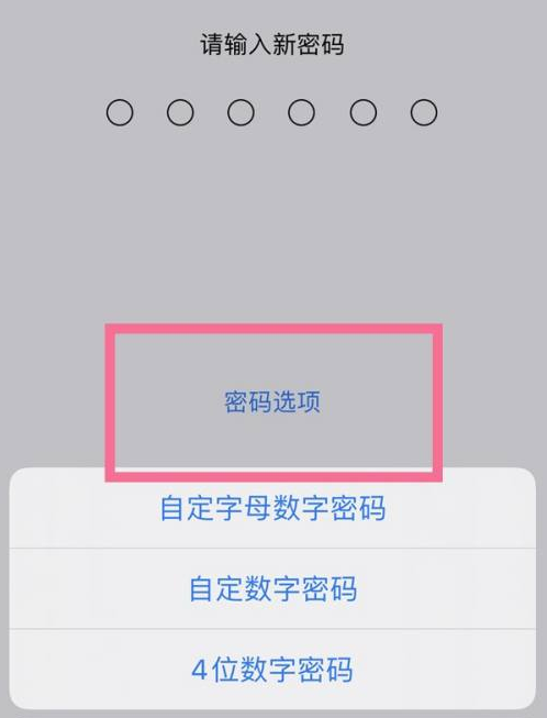 驿城苹果14维修分享iPhone 14plus设置密码的方法 