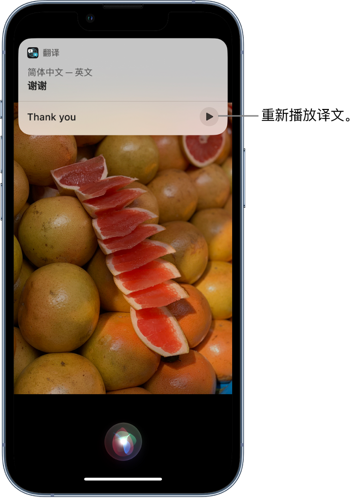 驿城苹果14维修分享 iPhone 14 机型中使用 Siri：了解 Siri 能帮你做什么 