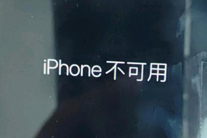 驿城苹果服务网点分享锁屏界面显示“iPhone 不可用”如何解决 