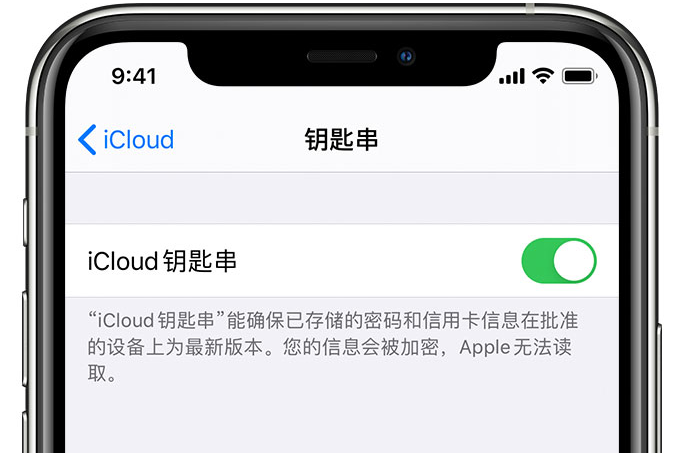 驿城苹果手机维修分享在 iPhone 上开启 iCloud 钥匙串之后会储存哪些信息 