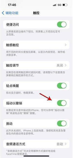 驿城苹果手机维修分享iPhone手机如何设置摇一摇删除文字 